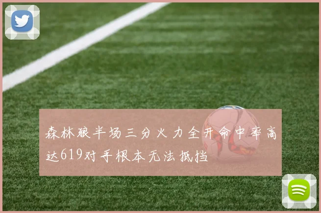 森林狼半场三分火力全开命中率高达619对手根本无法抵挡