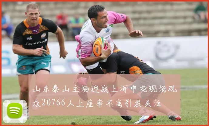 山东泰山主场迎战上海申花现场观众20766人上座率不高引发关注