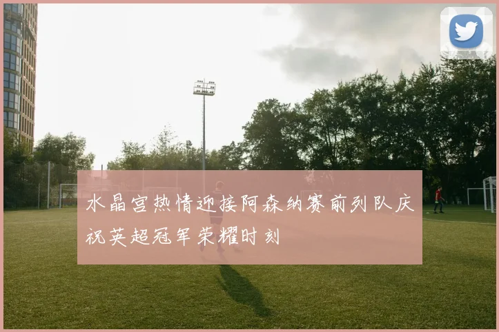 水晶宫热情迎接阿森纳赛前列队庆祝英超冠军荣耀时刻