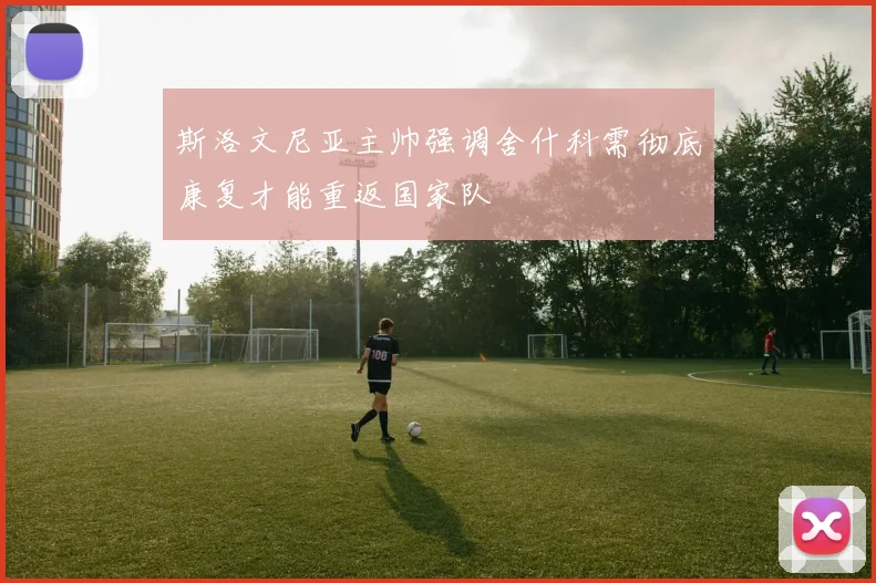 斯洛文尼亚主帅强调舍什科需彻底康复才能重返国家队